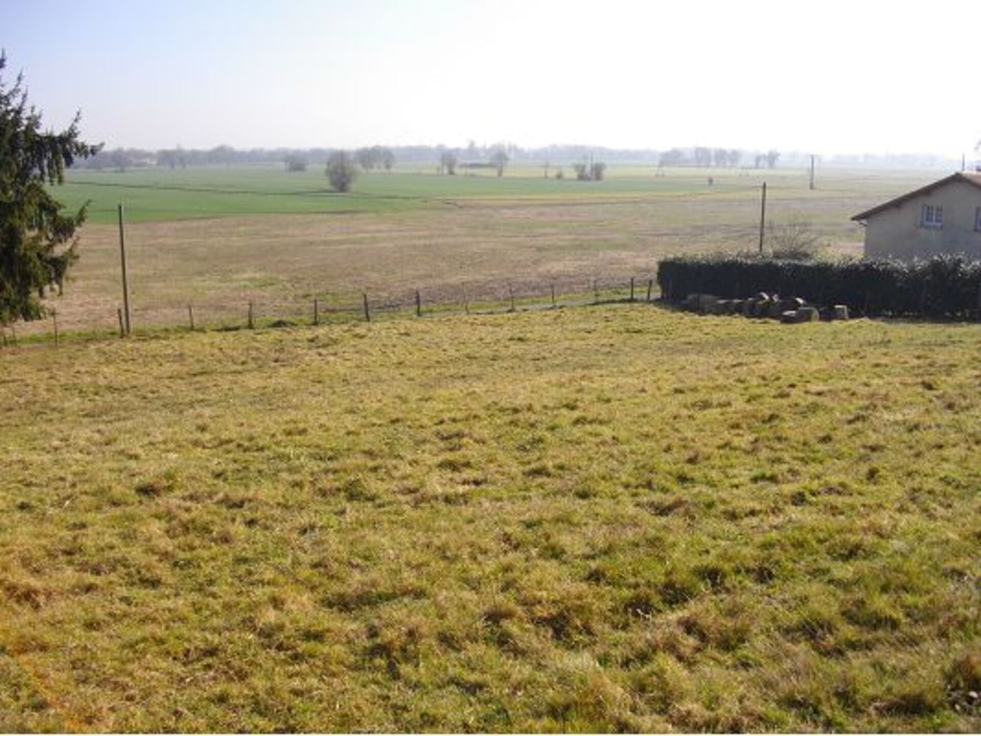 Terrain
