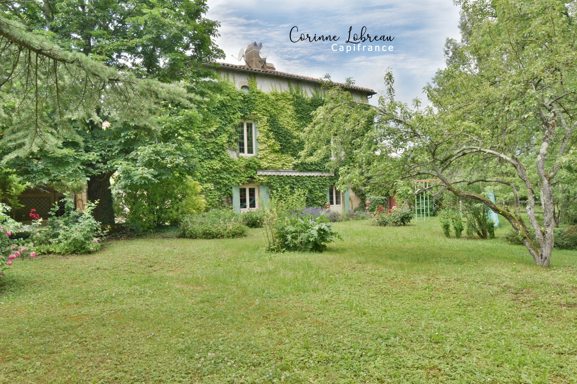 Maison