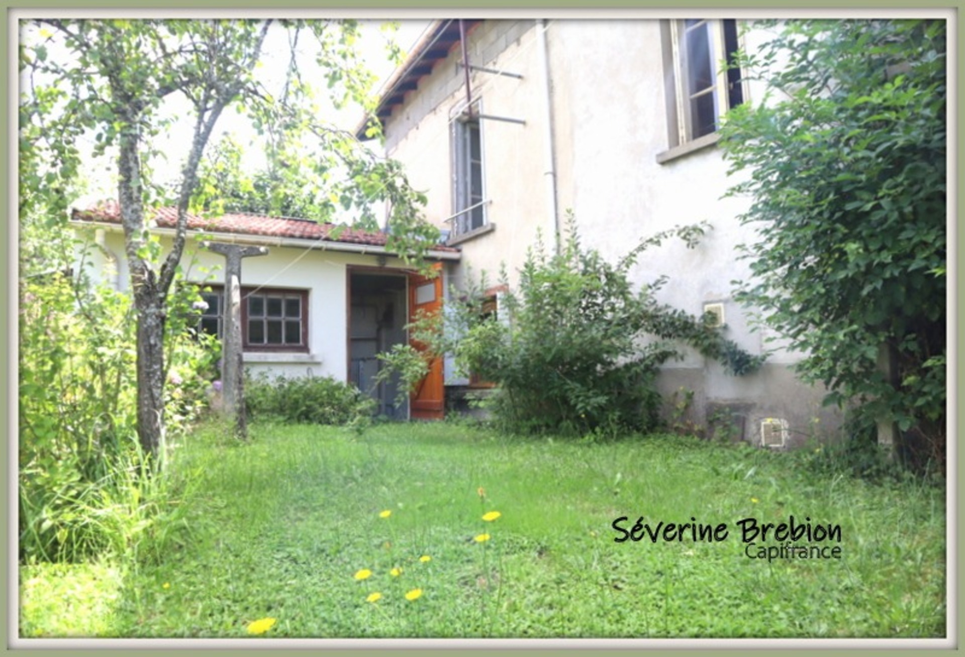 Maison