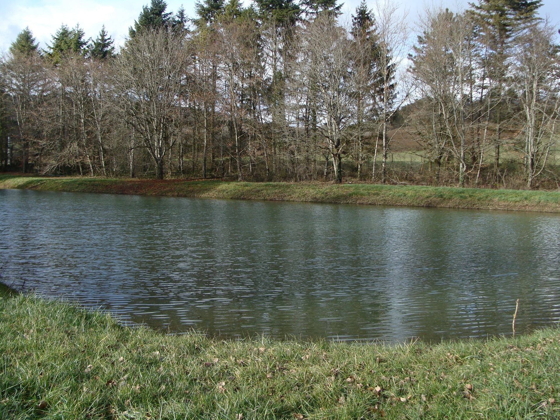 Propriété