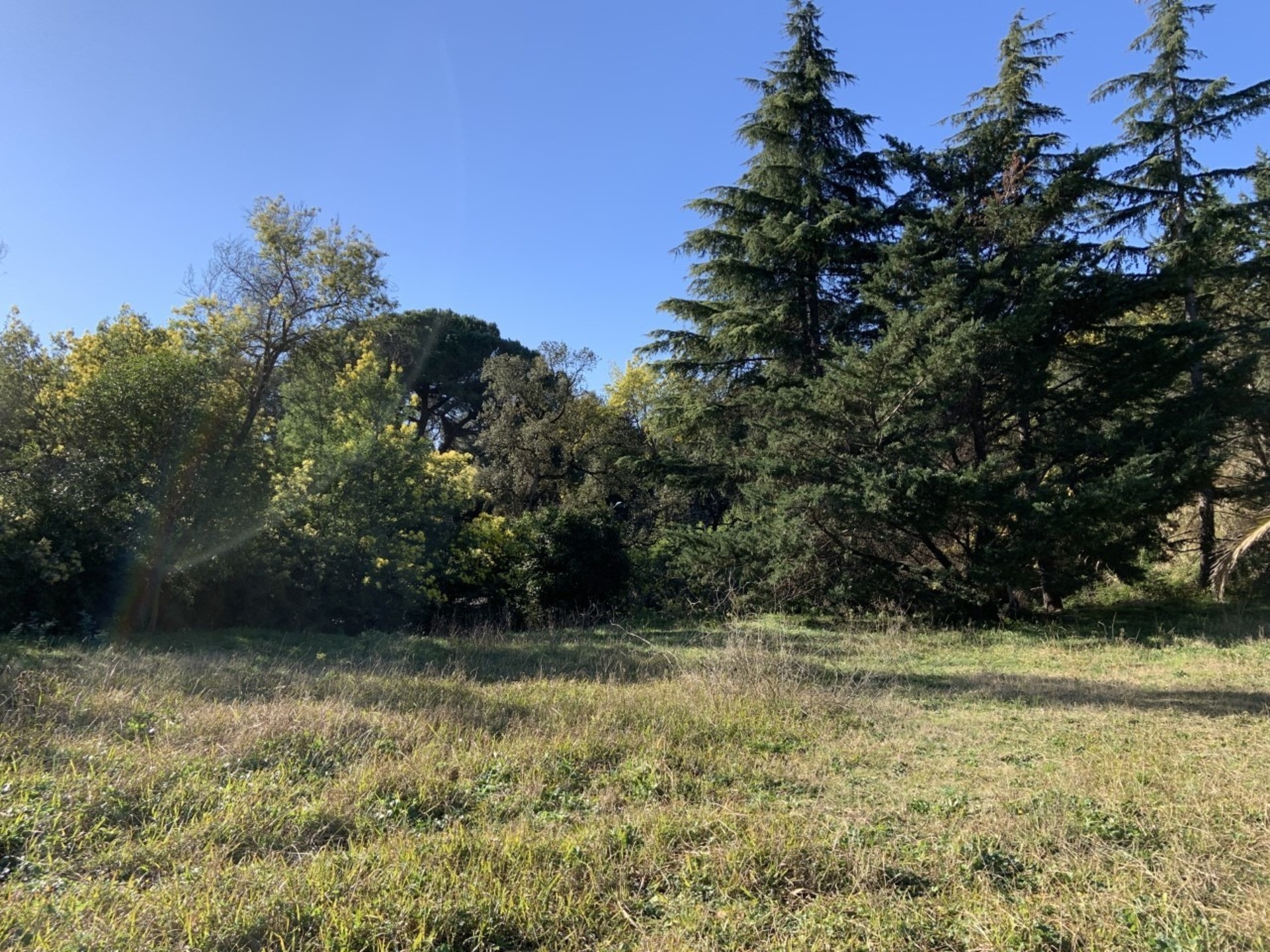 Terrain