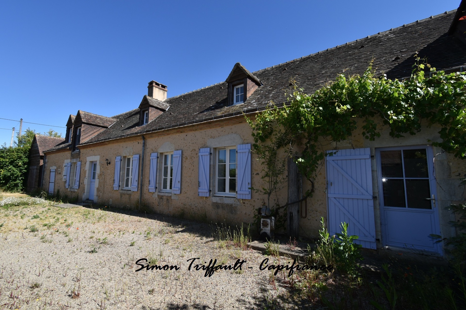Maison