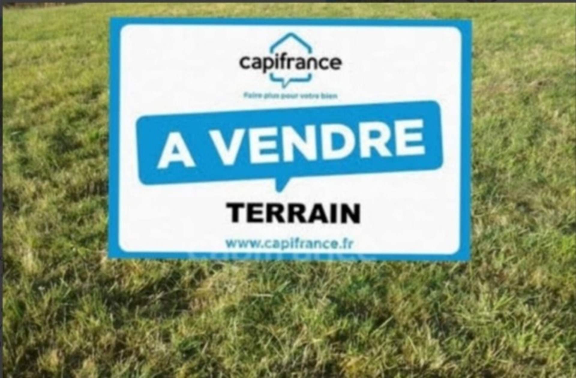 Terrain