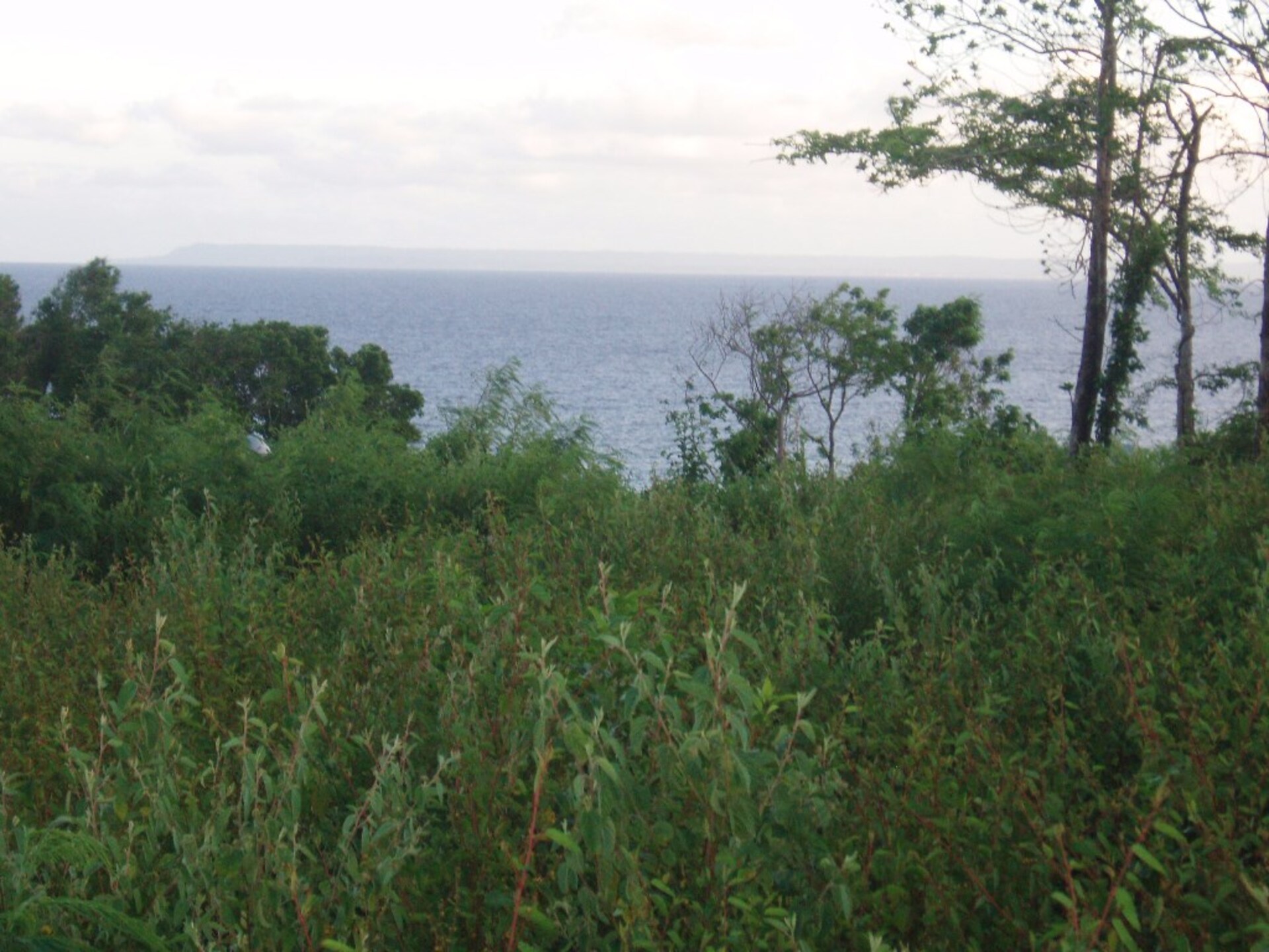Terrain