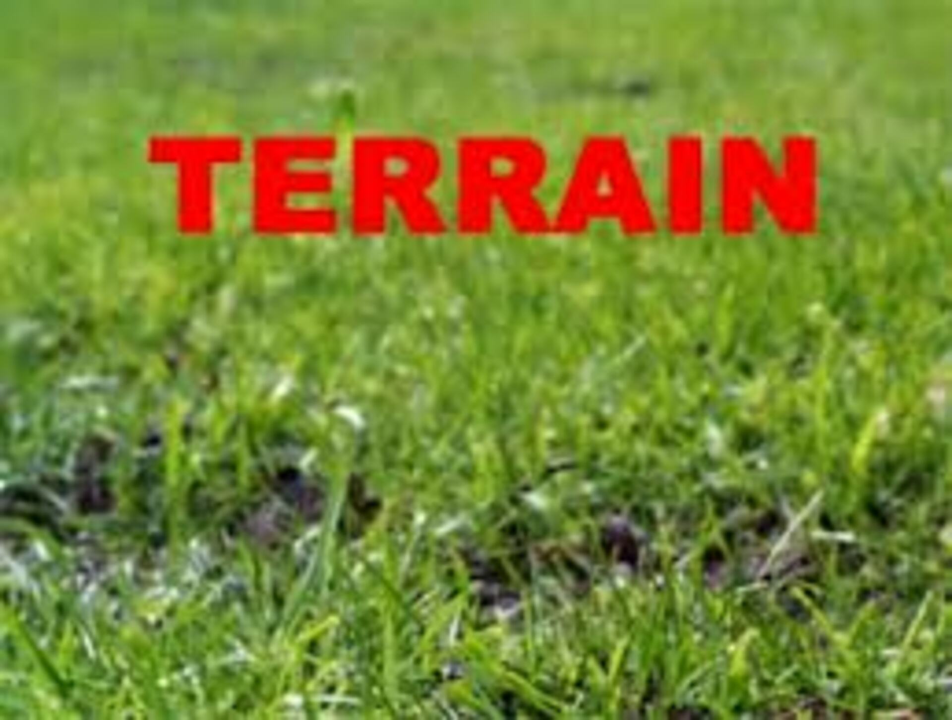 Terrain