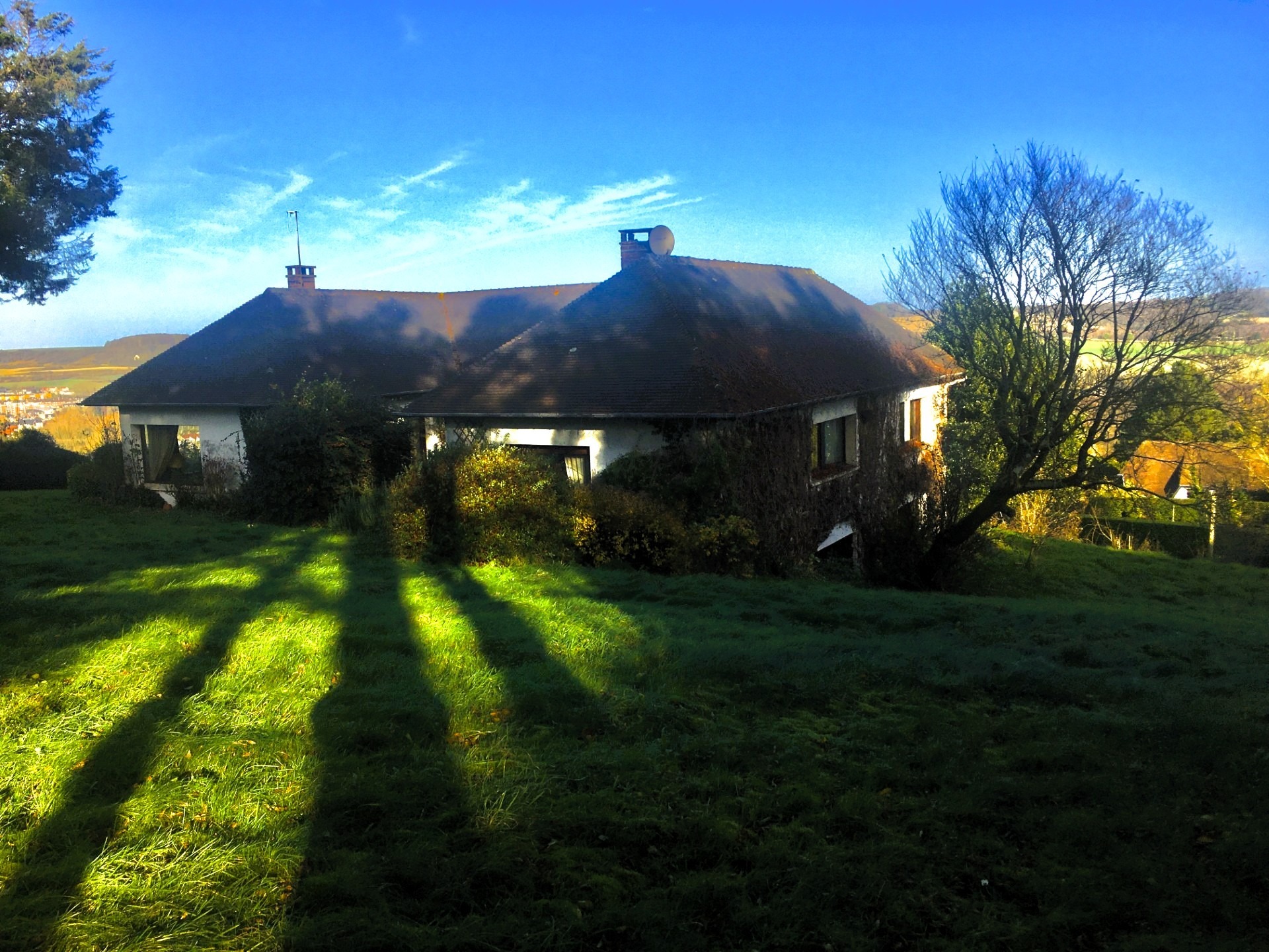 Maison