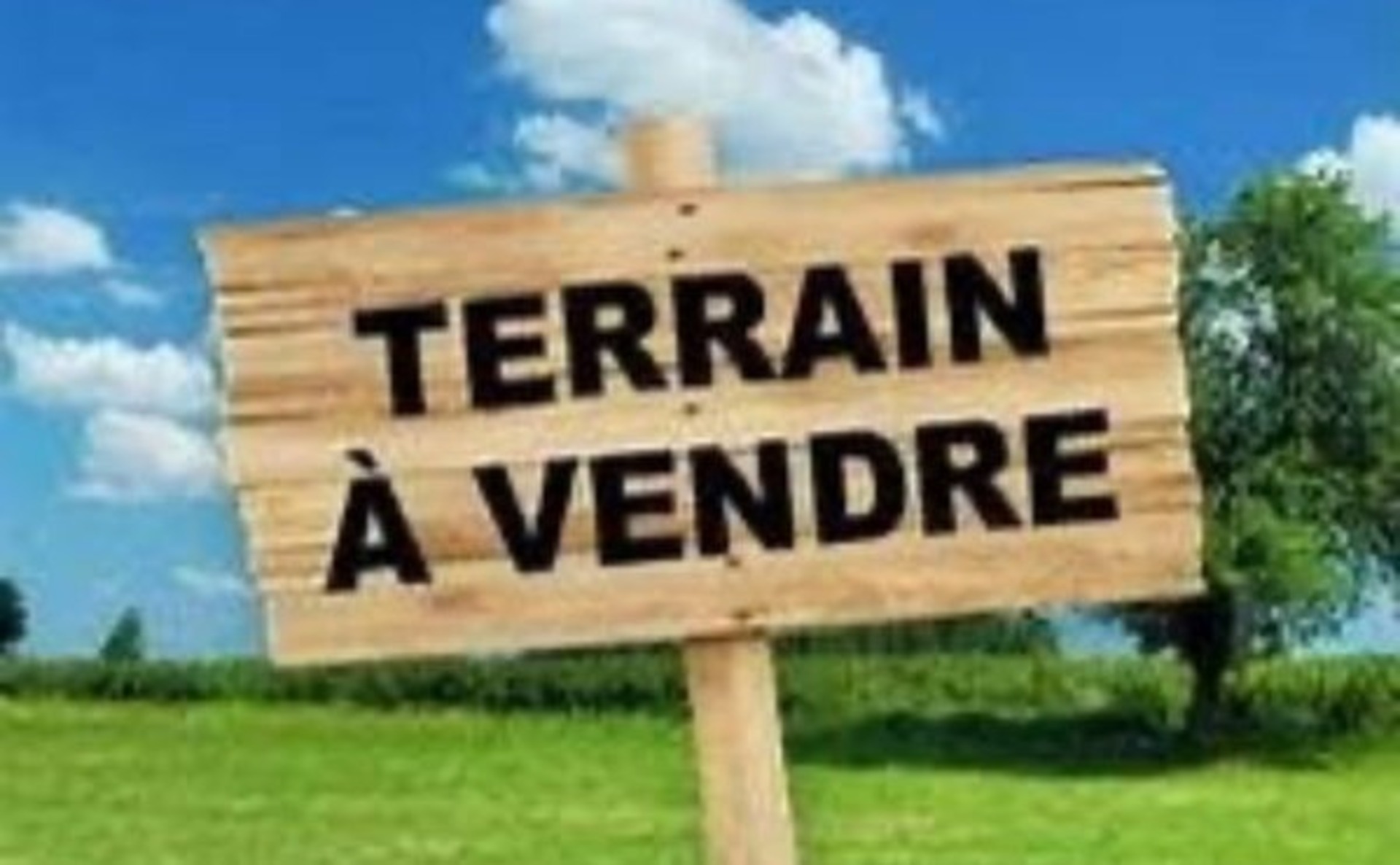 Terrain