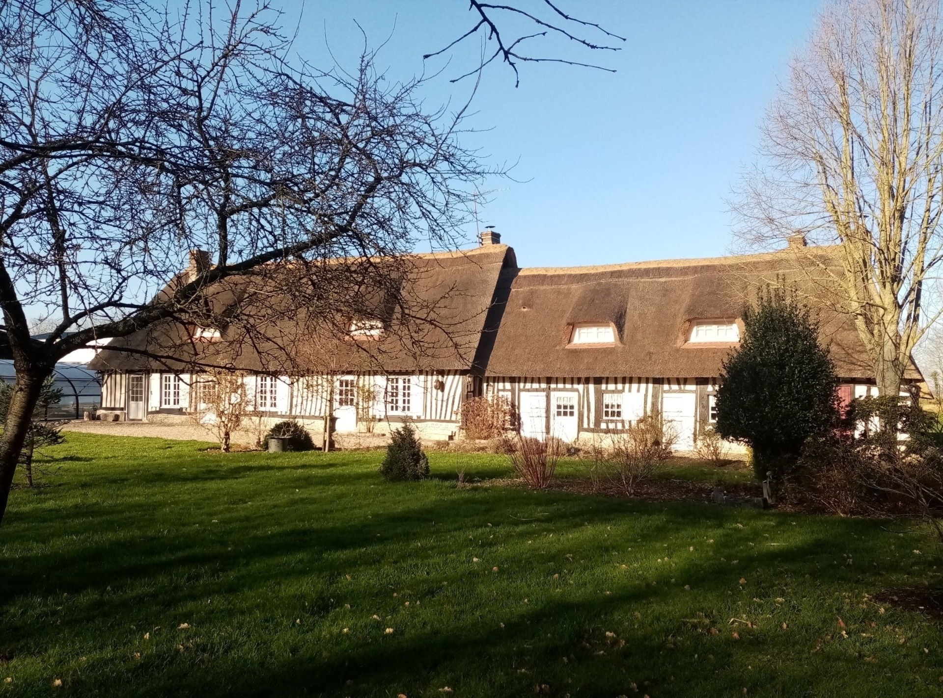 Maison