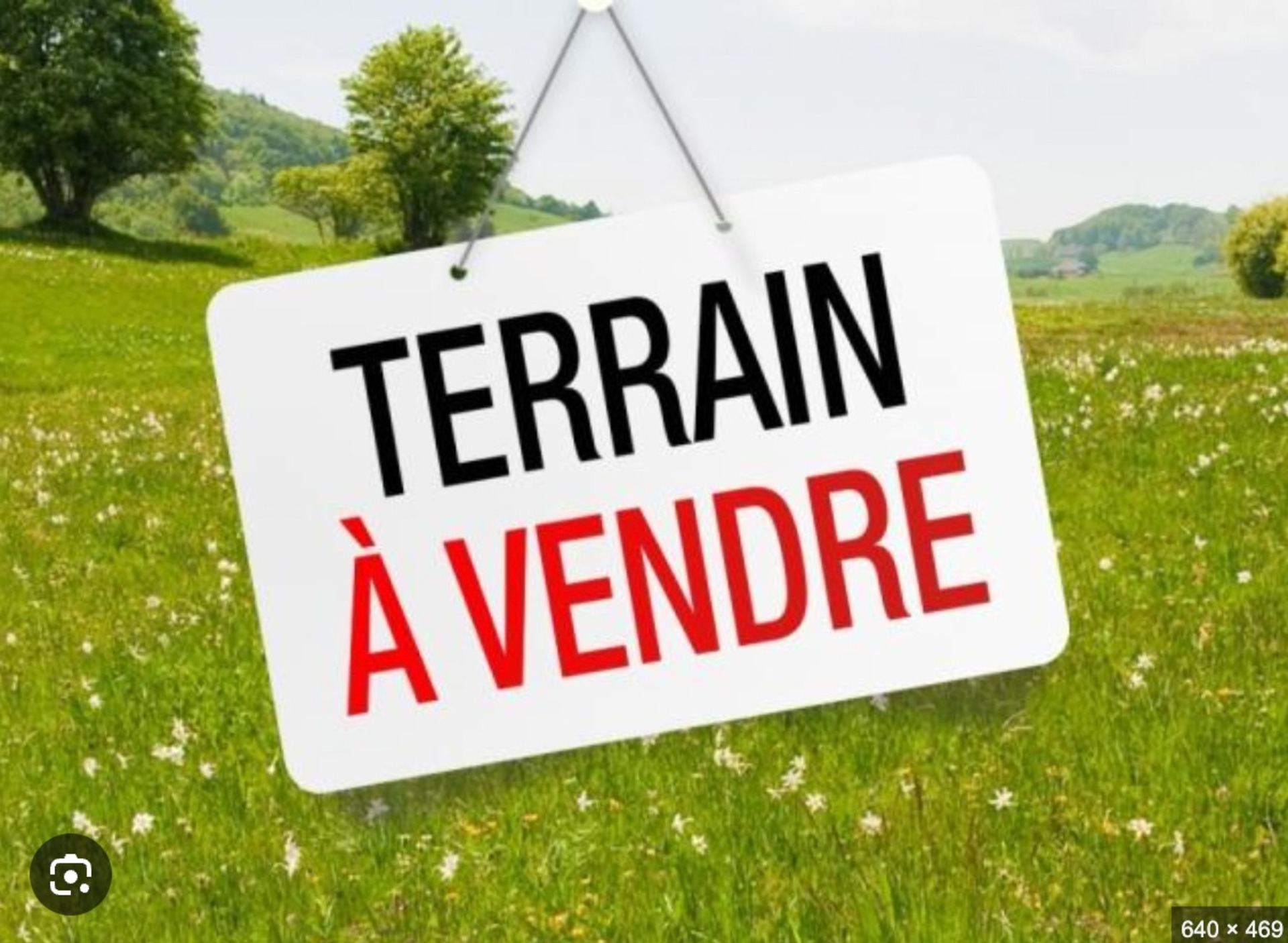 Terrain