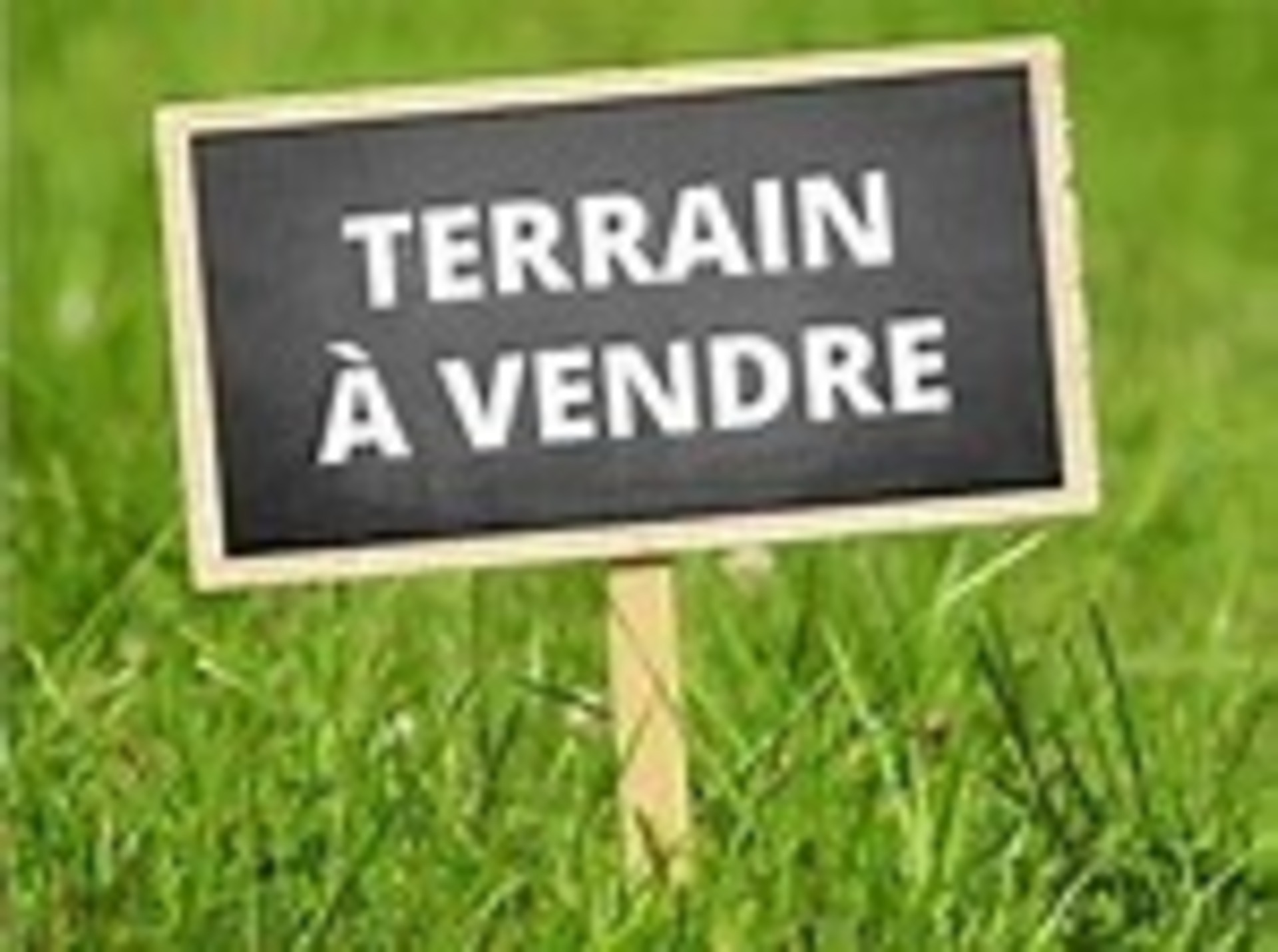 Terrain