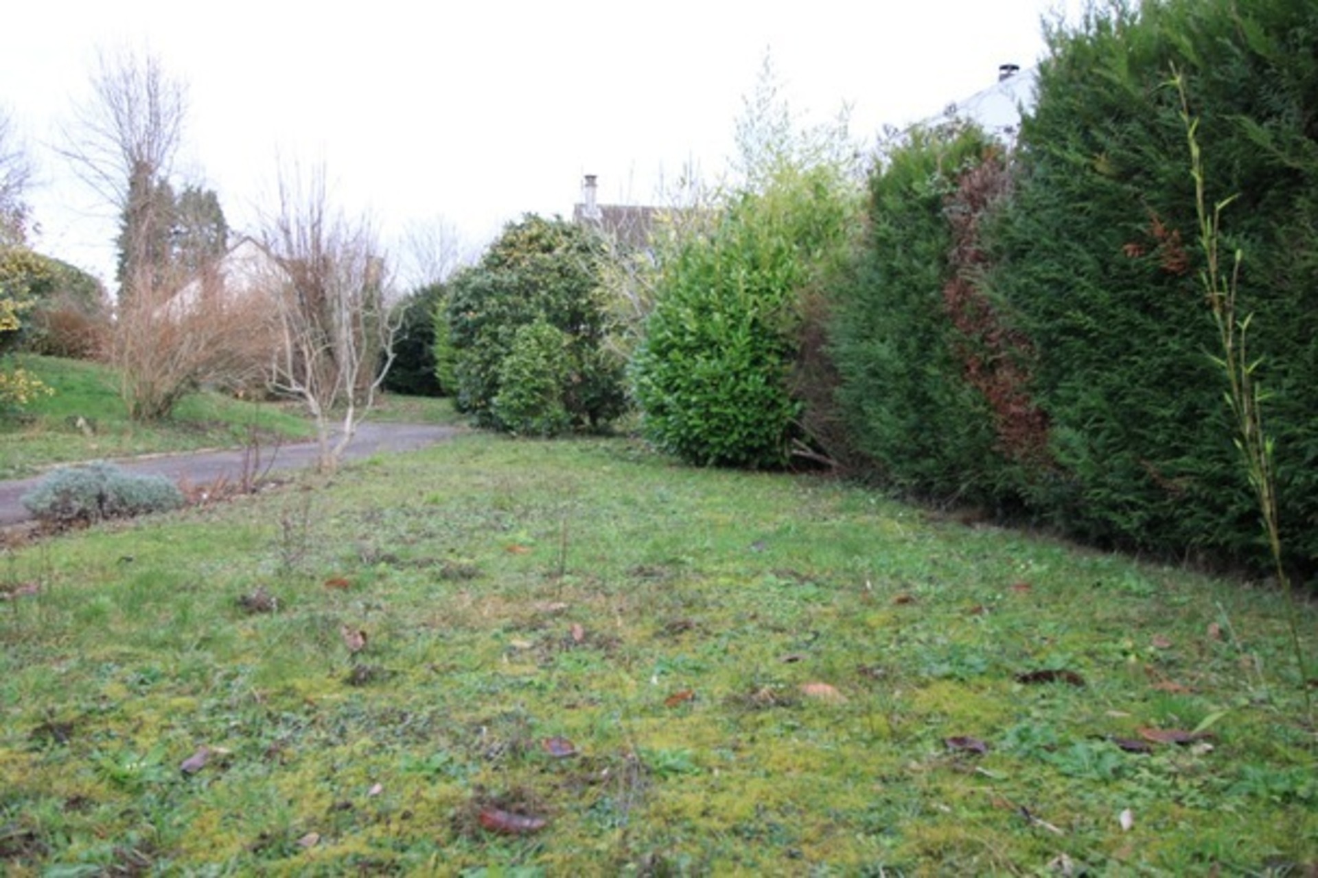 Terrain