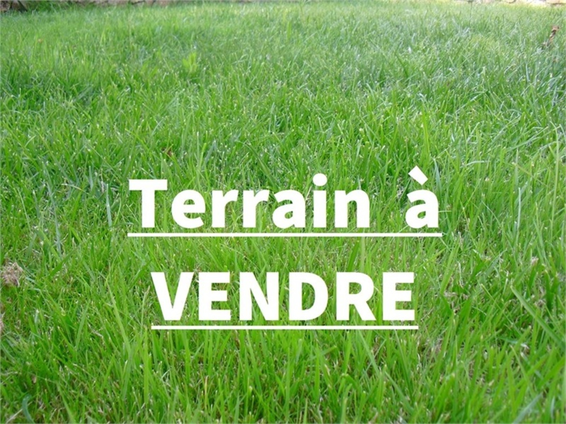 Terrain