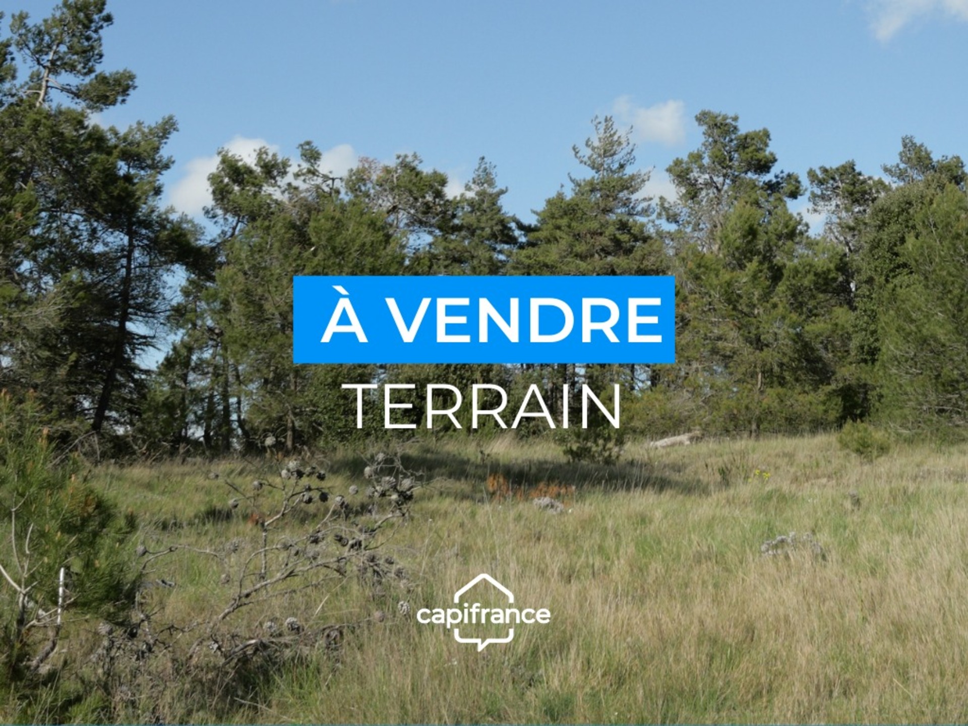 Terrain