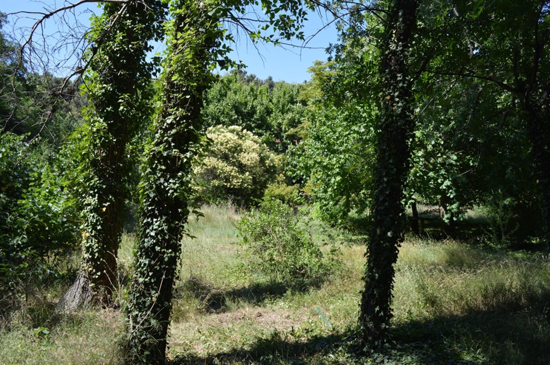 Terrain