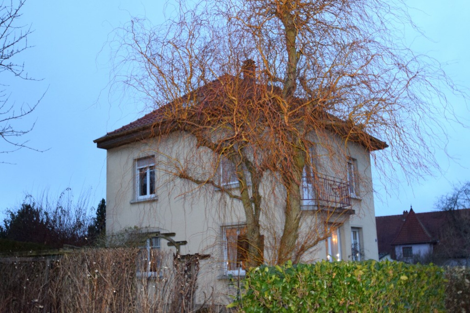 Maison