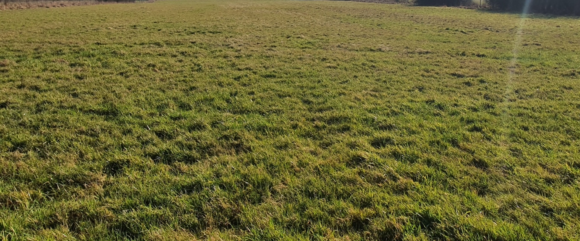 Terrain