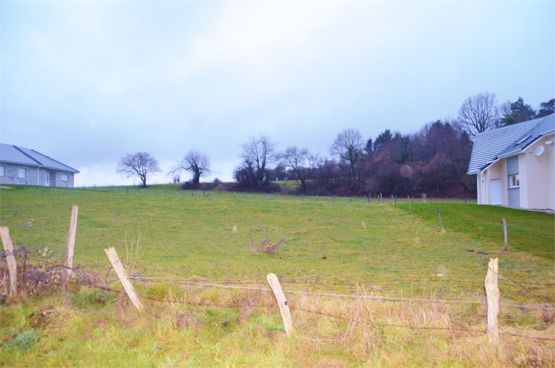 Terrain