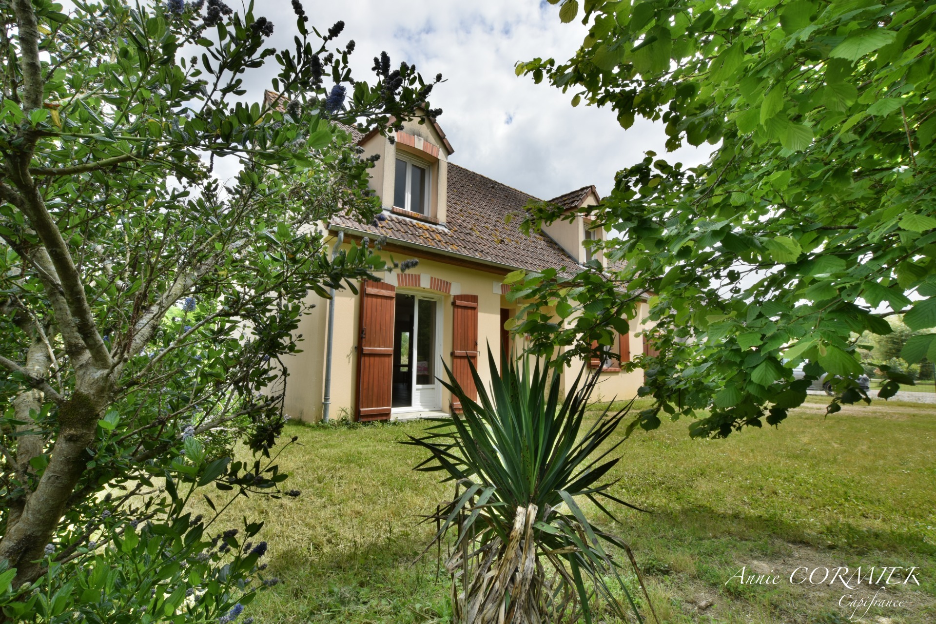 Maison