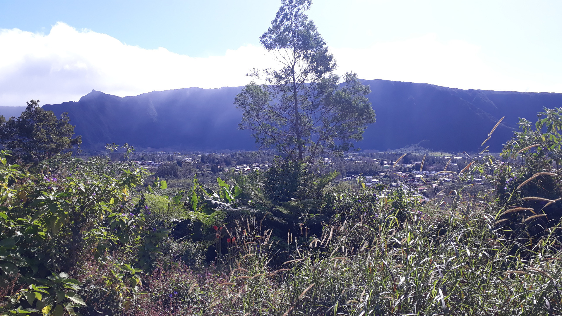 Terrain