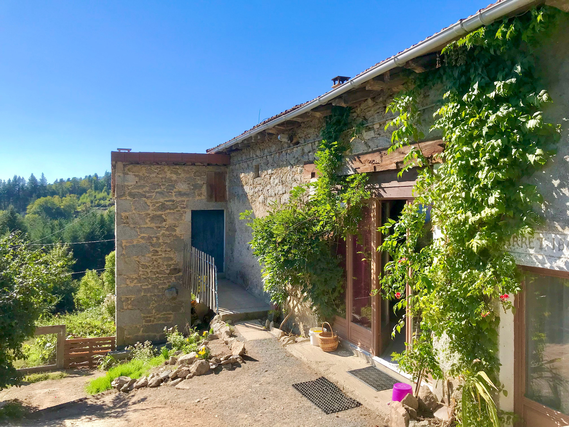 Maison
