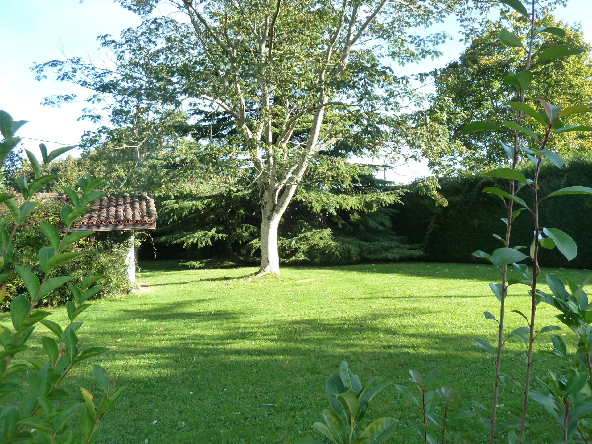 Terrain