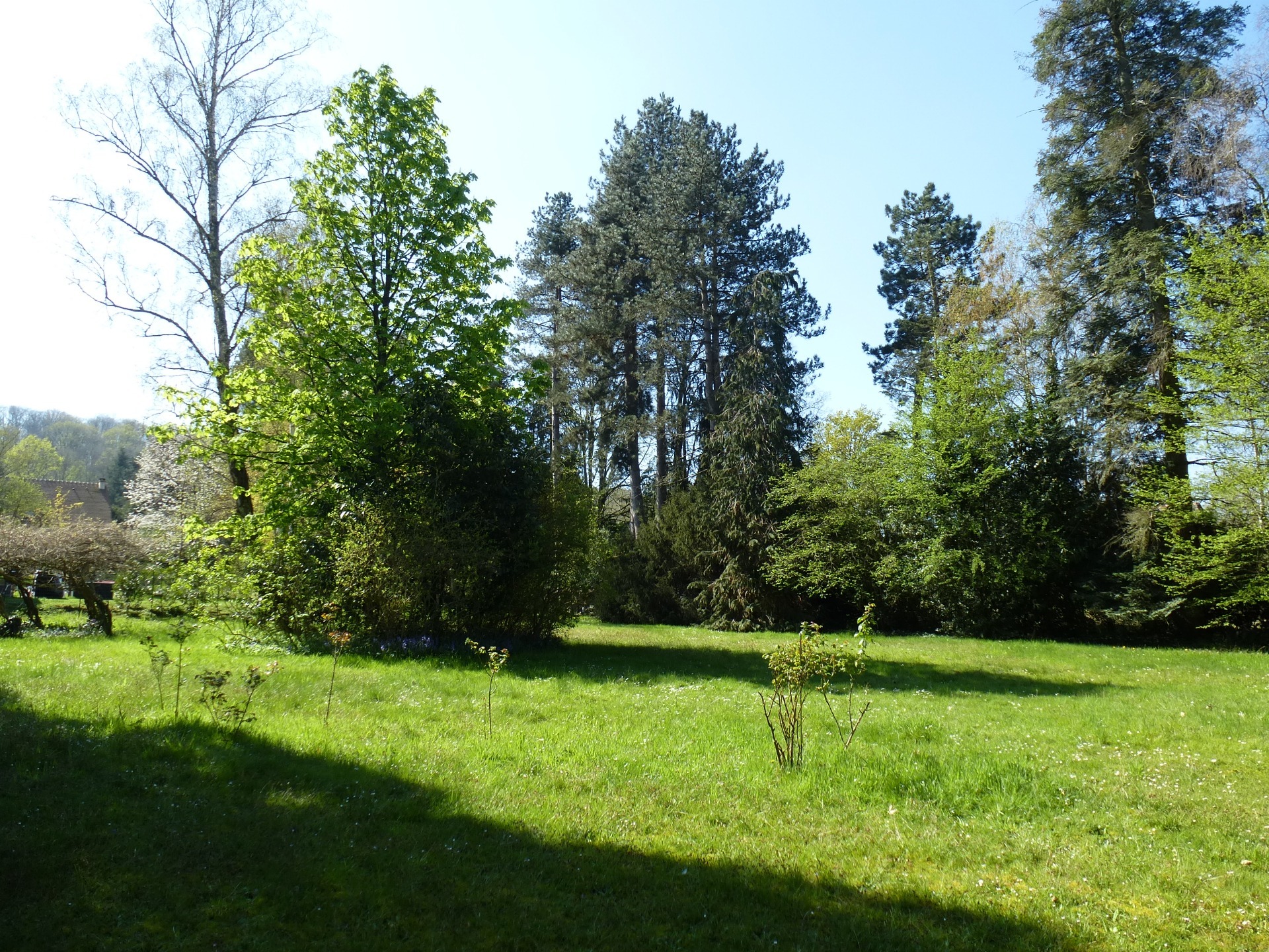 Terrain