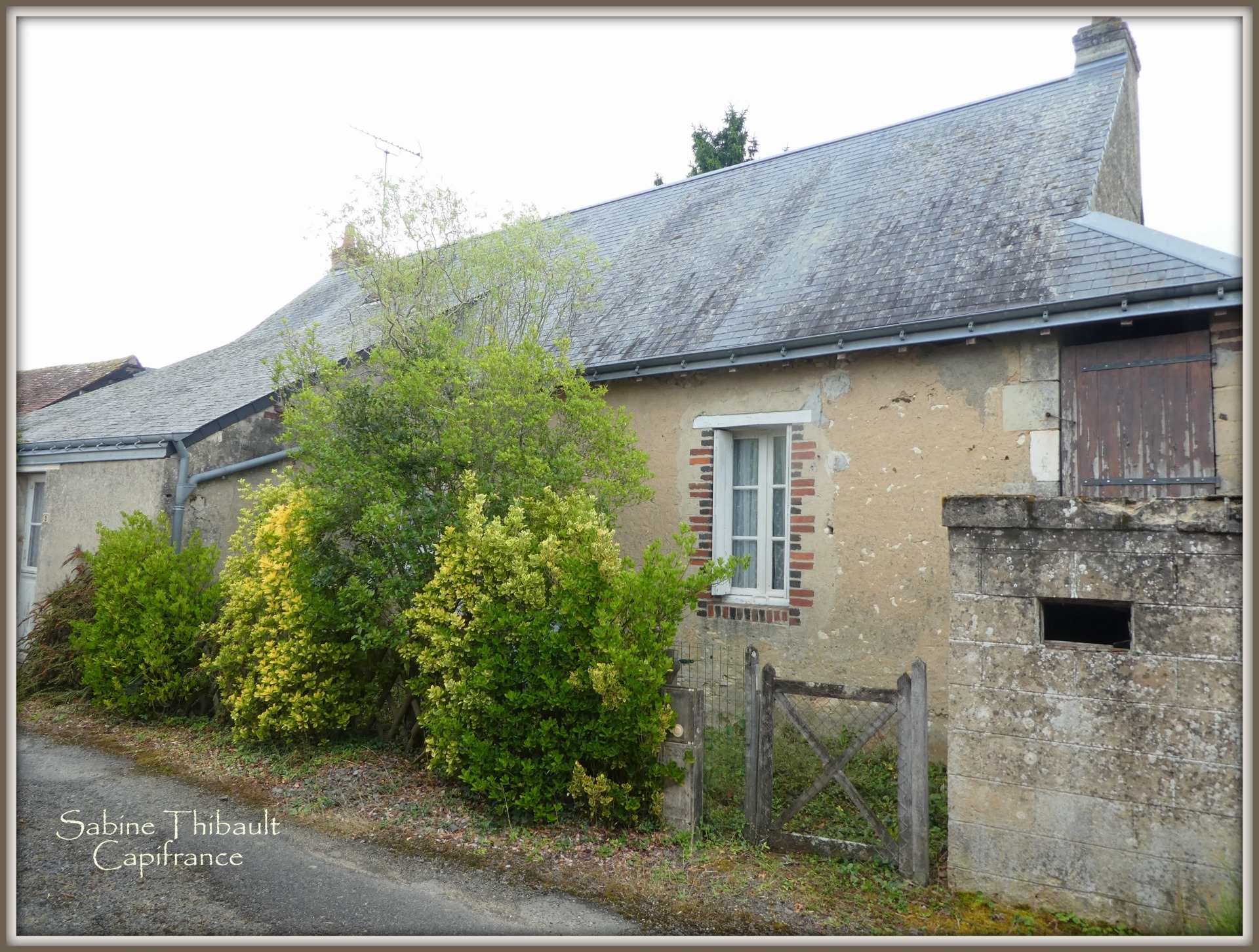 Maison
