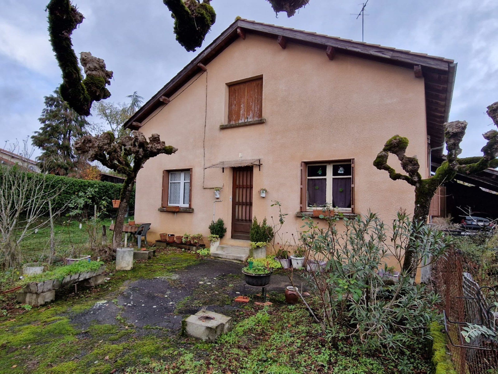 Maison
