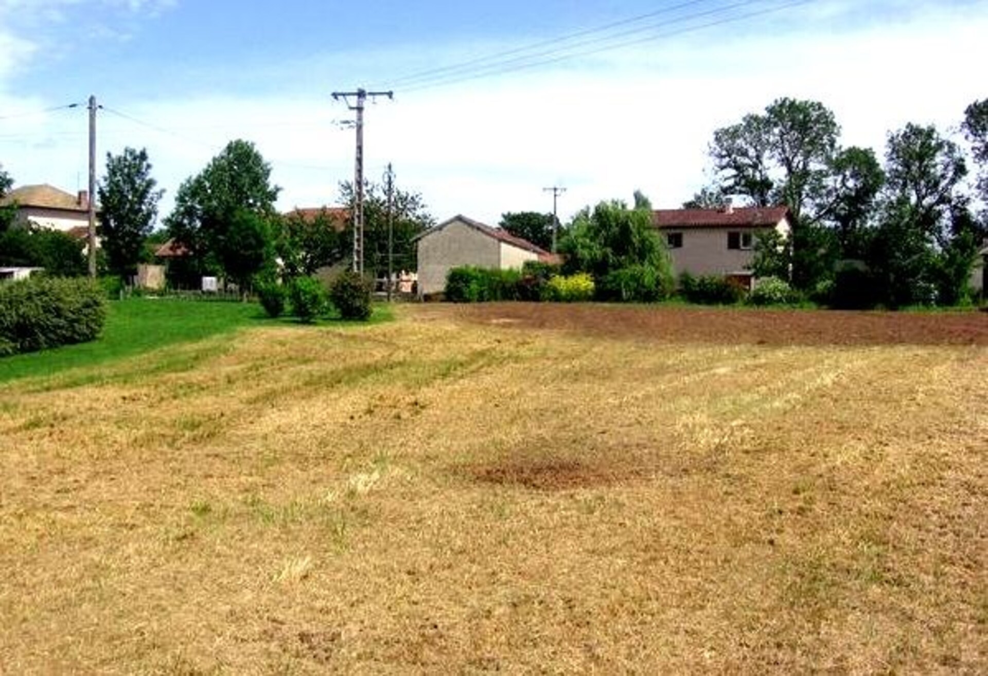 Terrain
