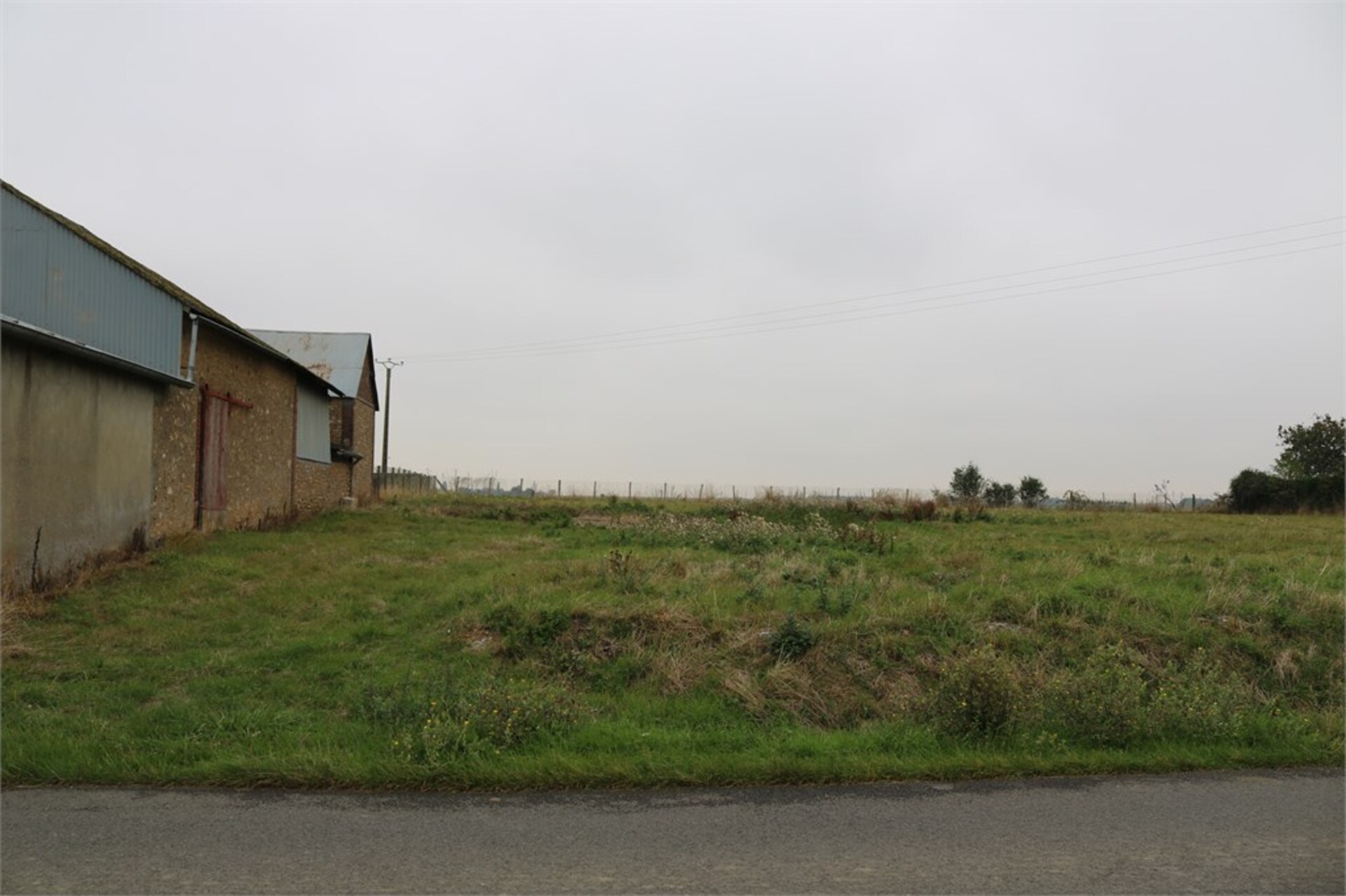Terrain