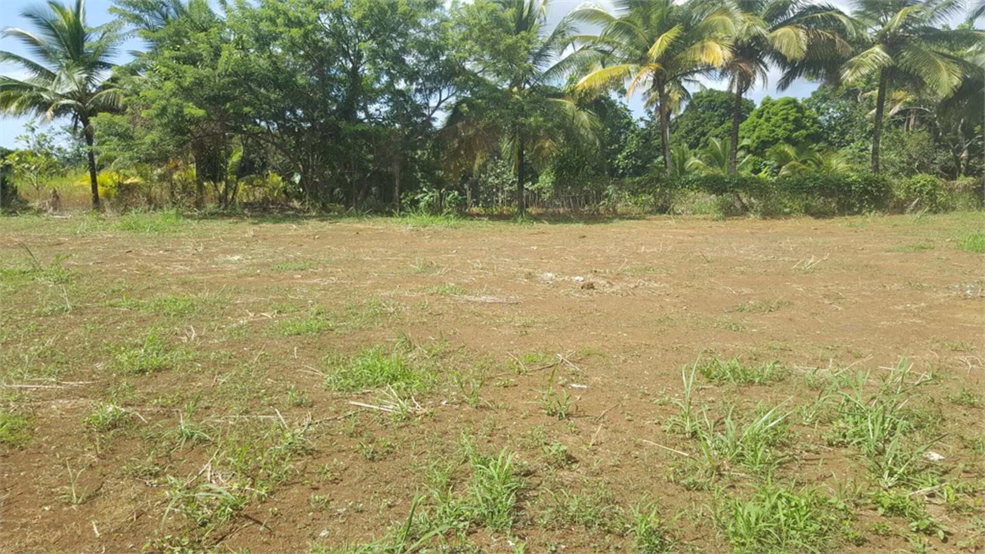 Terrain