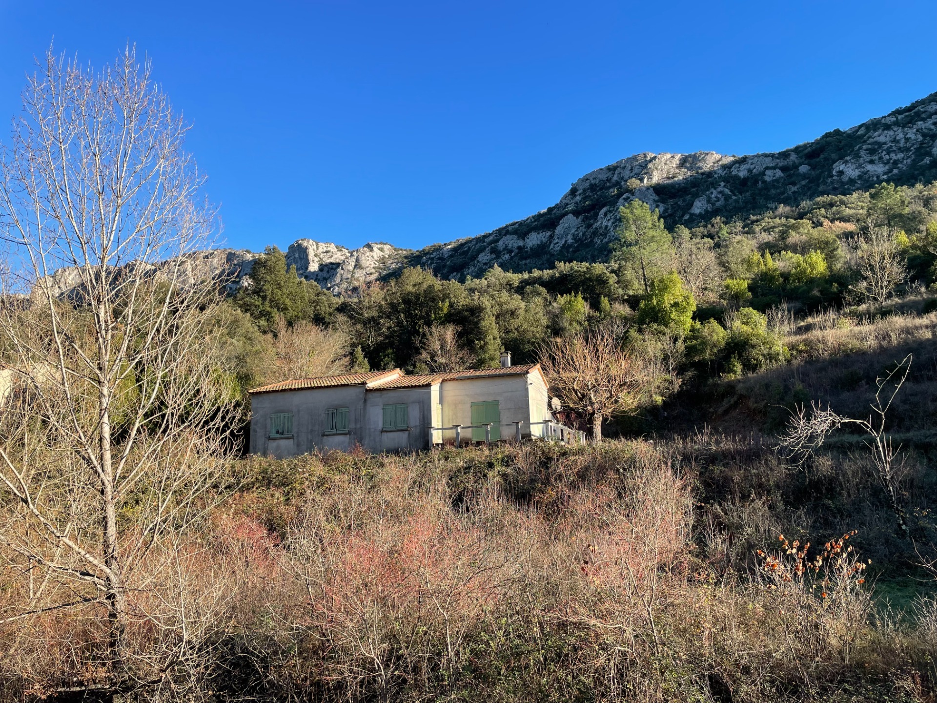 Maison