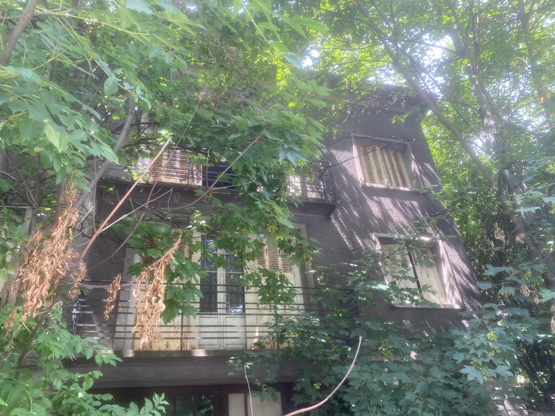Maison