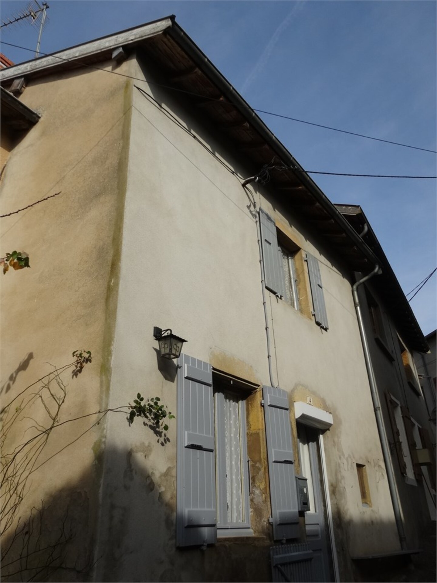 Maison