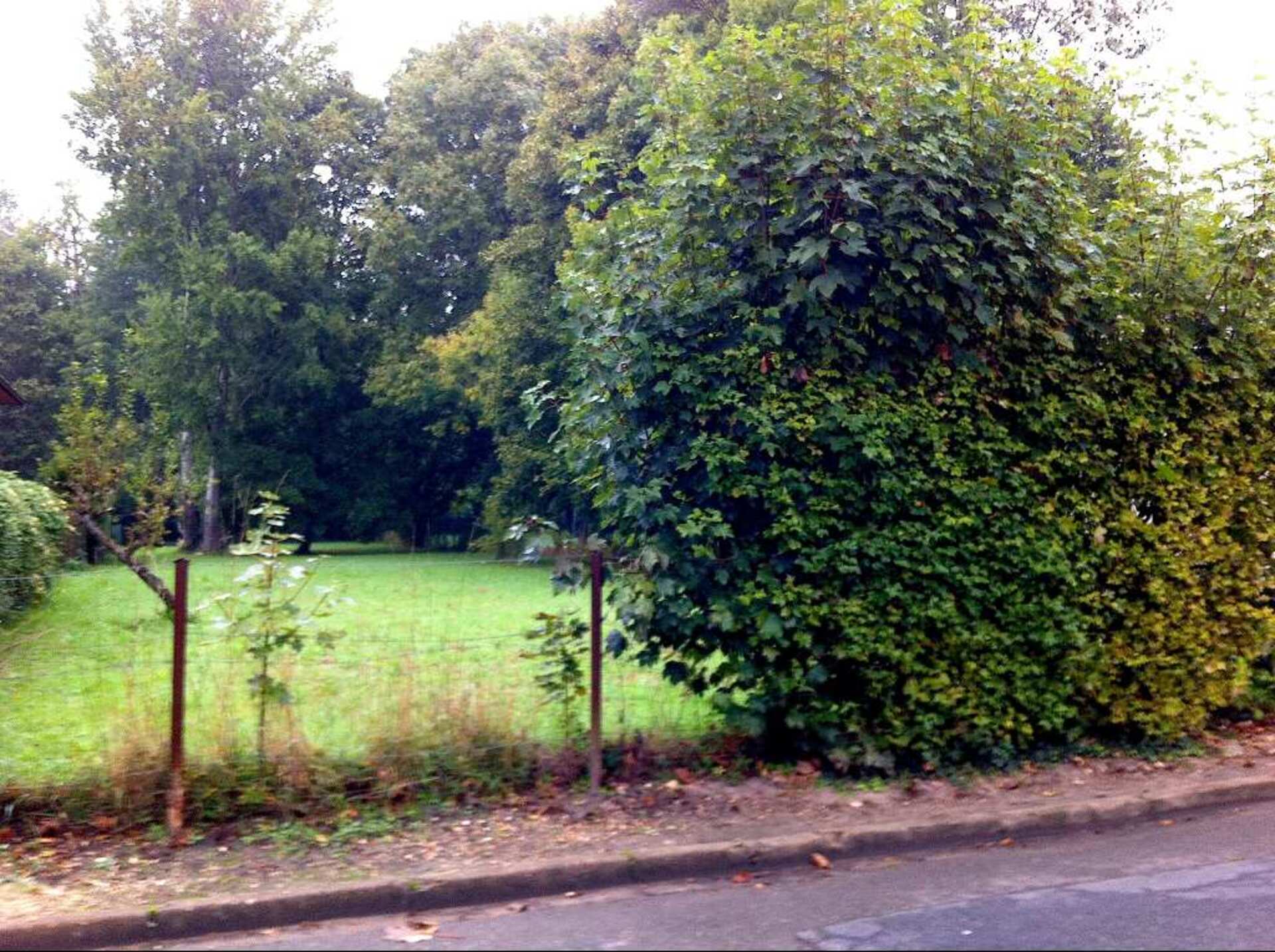 Terrain
