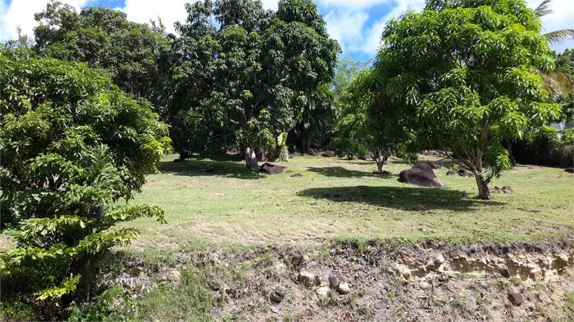 Terrain