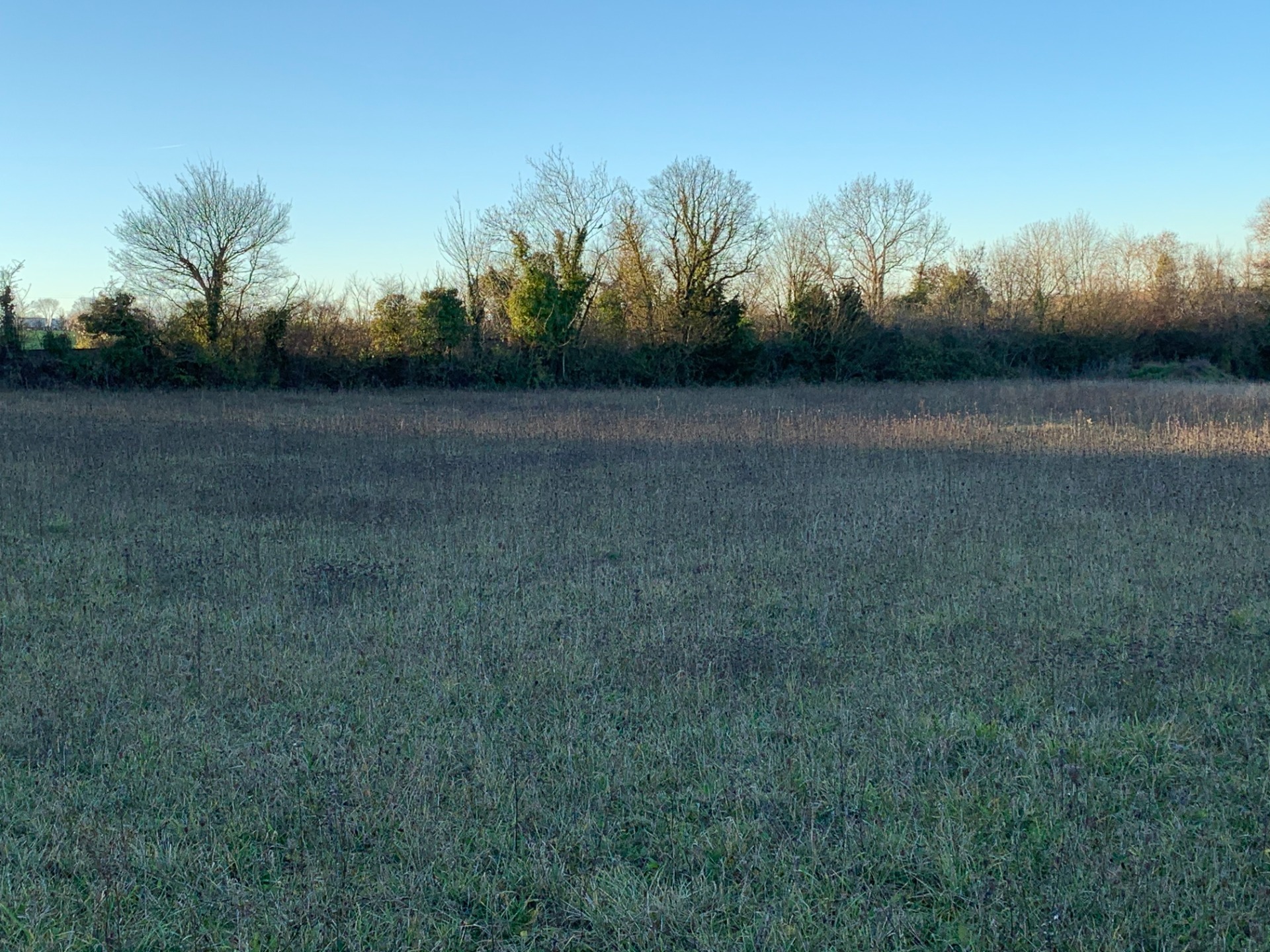 Terrain