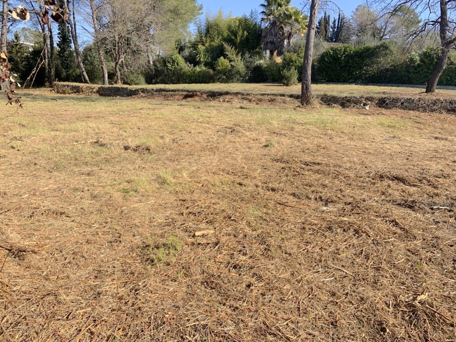 Terrain