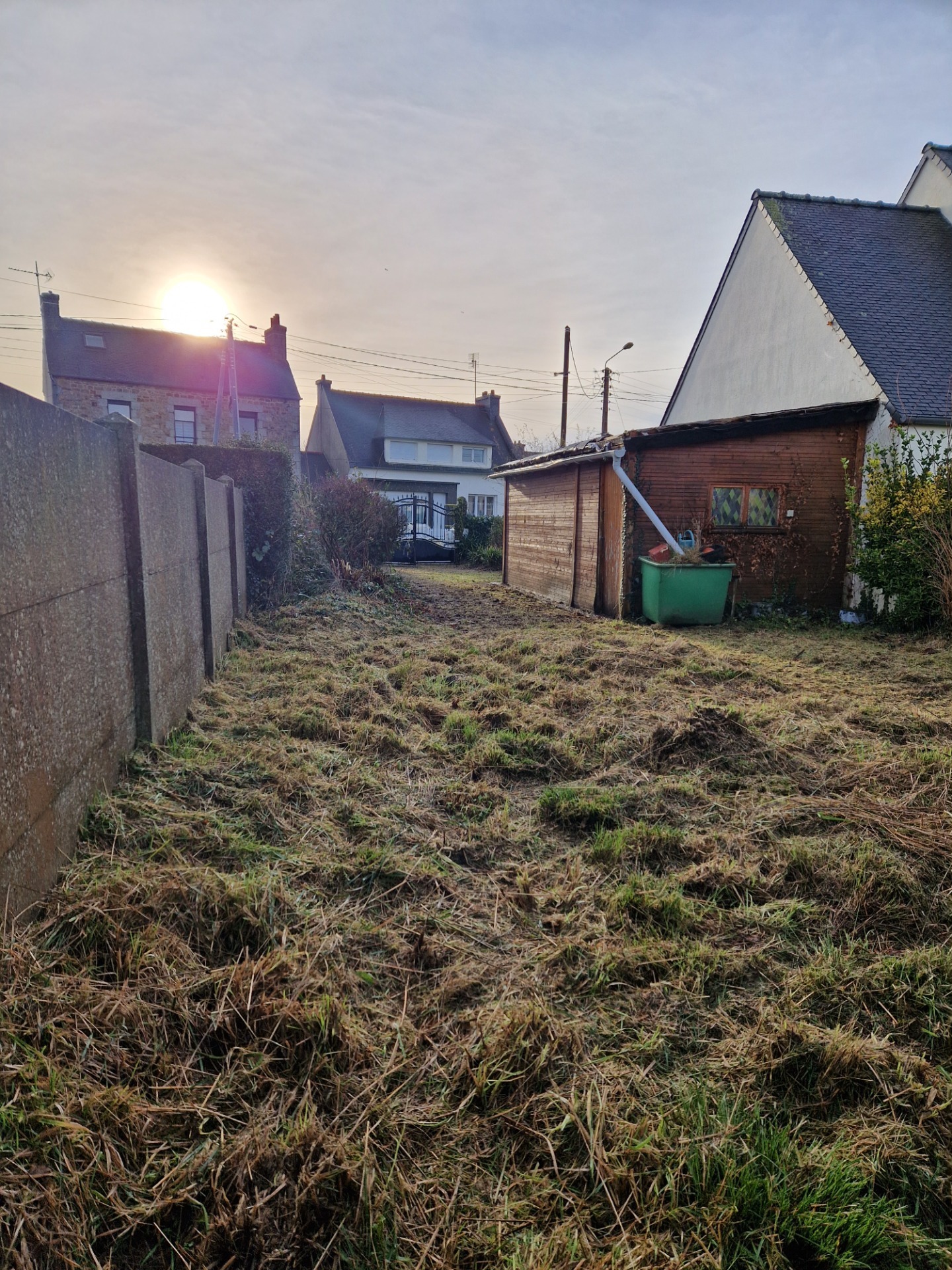 Terrain