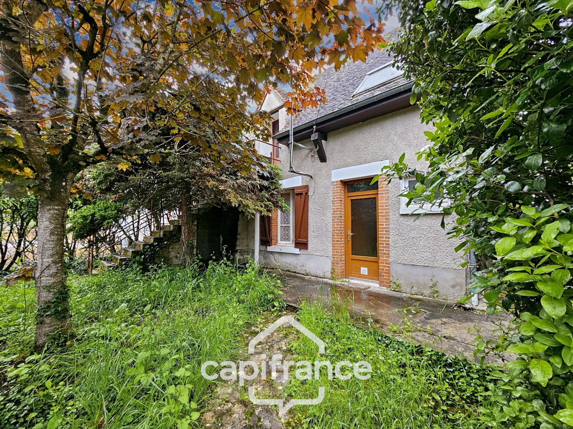 Maison