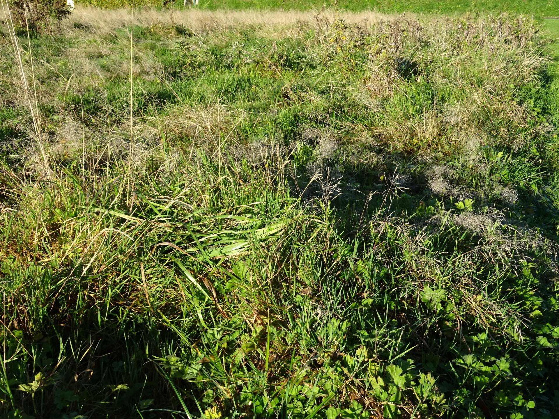 Terrain
