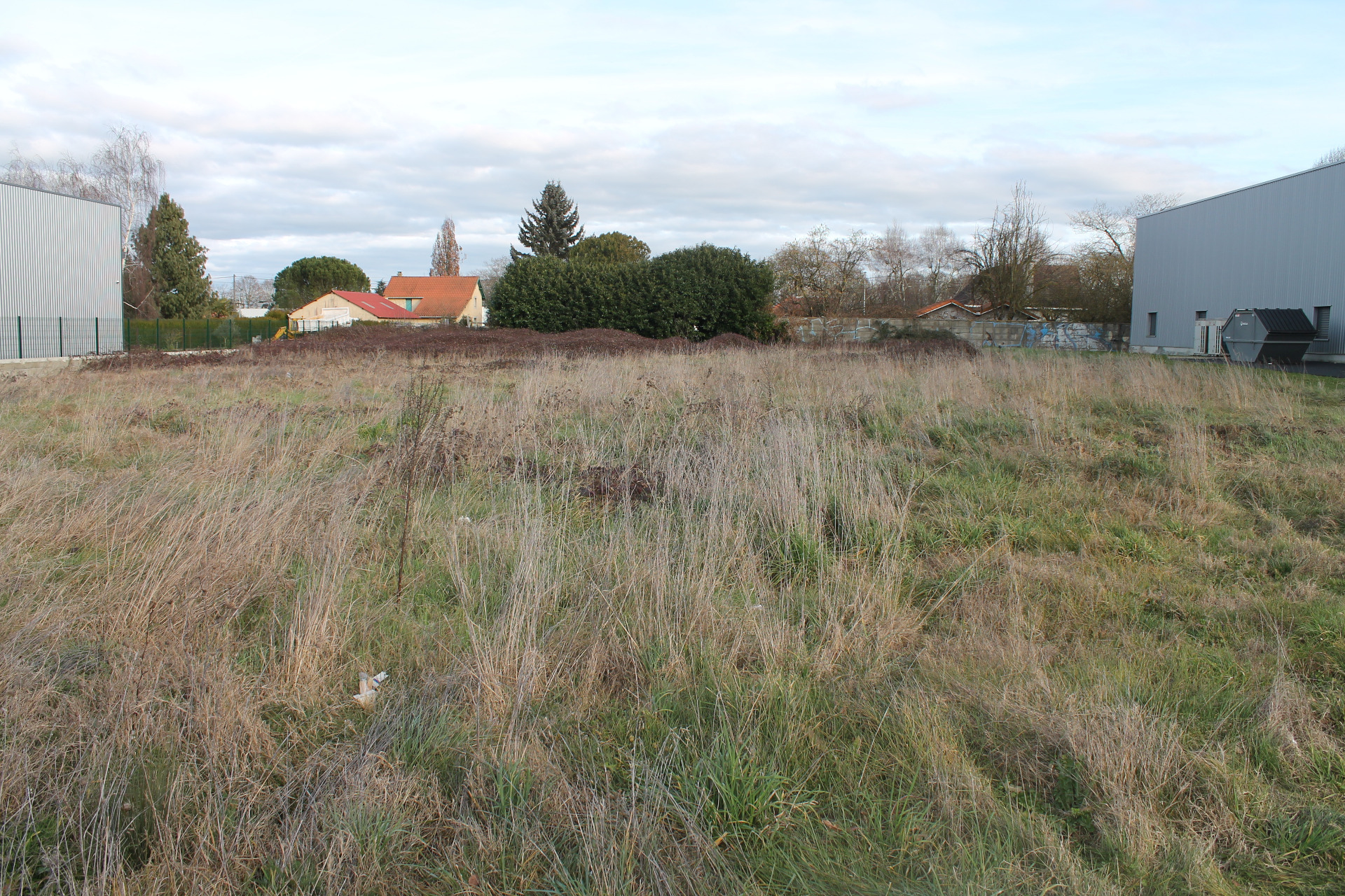 Terrain