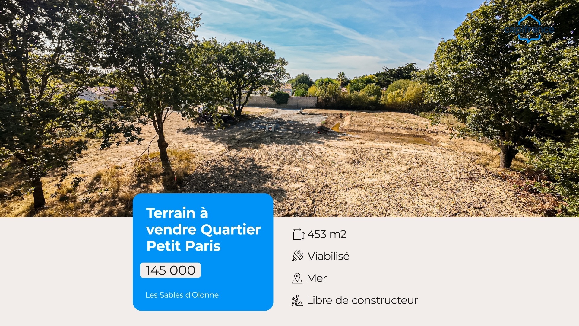 Terrain