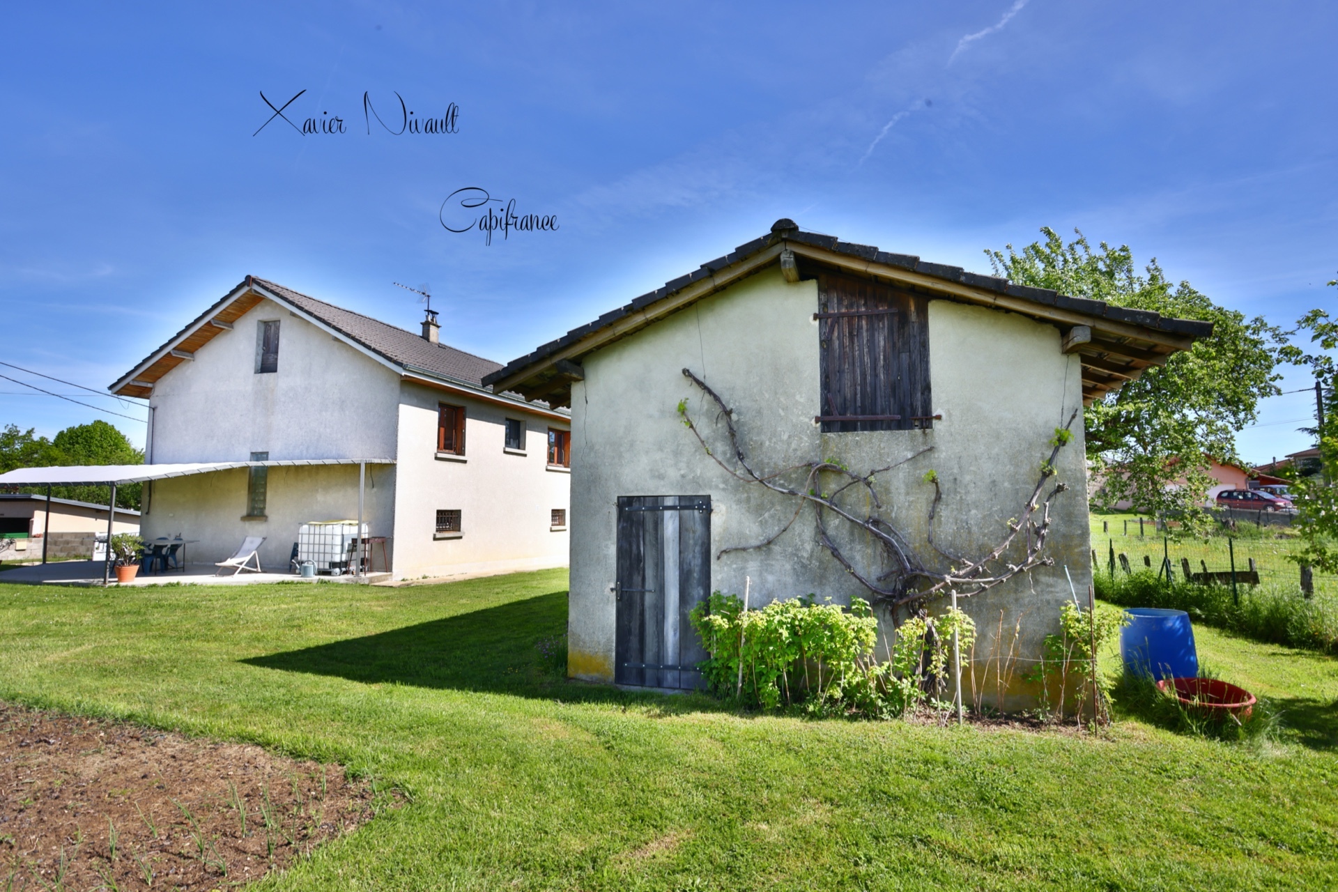 Maison