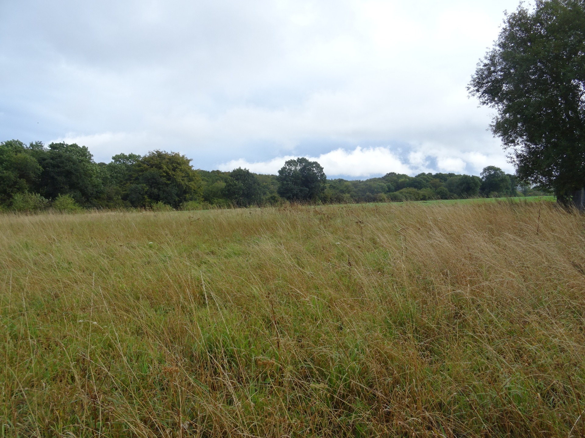 Terrain