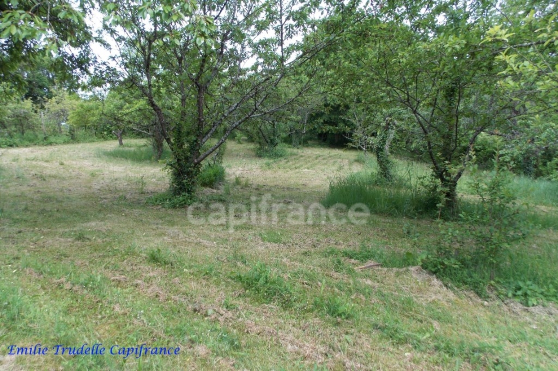 Terrain