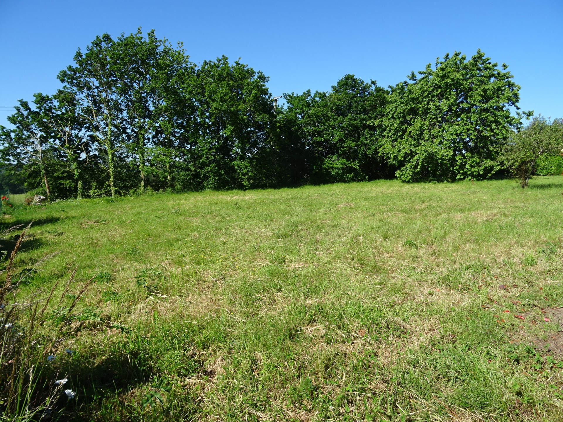 Terrain