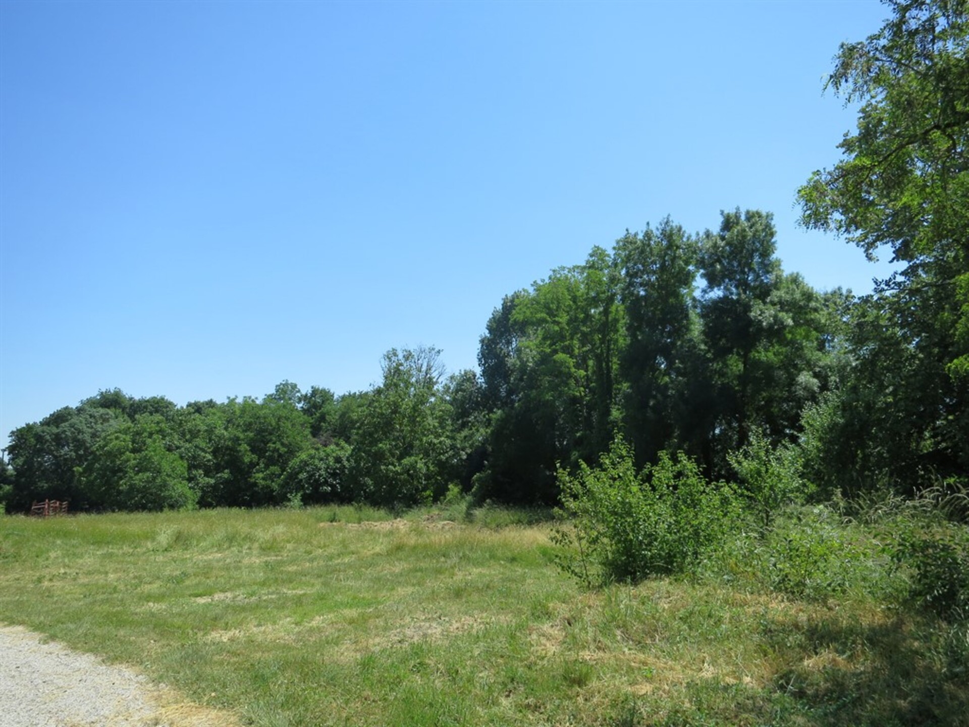 Terrain