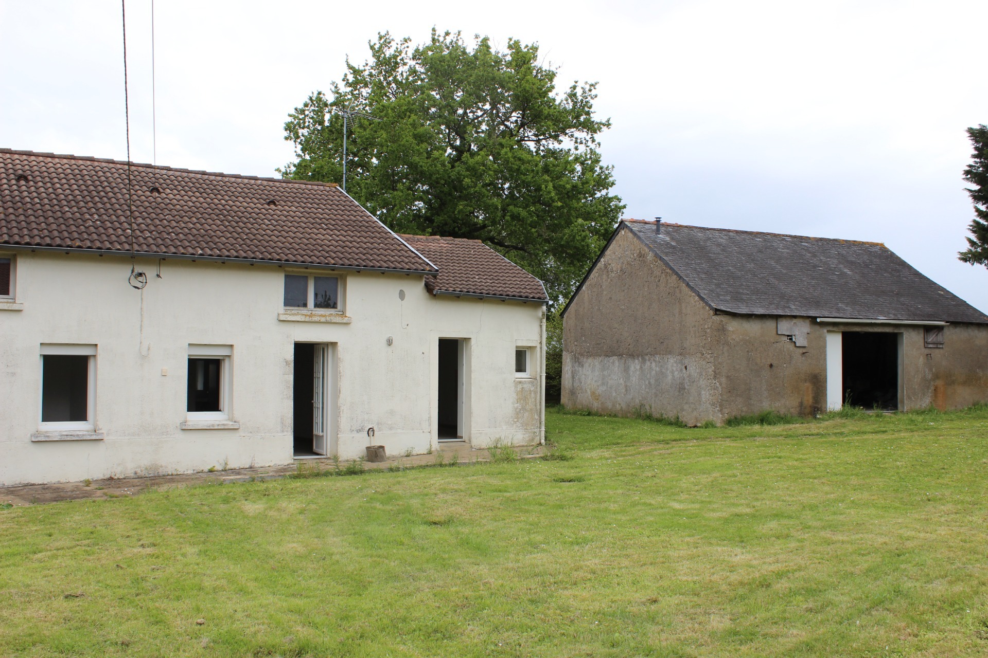 Maison