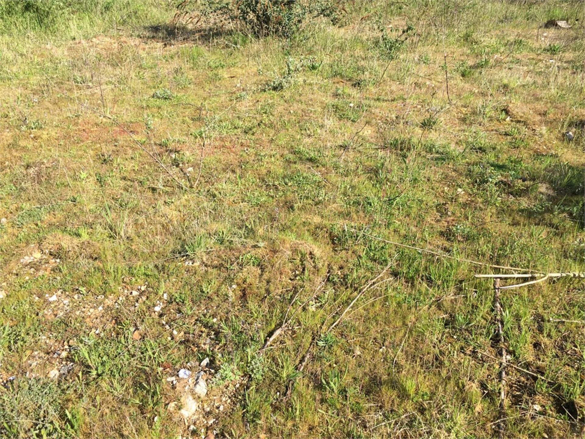 Terrain